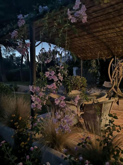 Casita De La Higuera Villa Javea Dış mekan fotoğraf